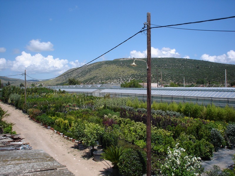 DSC06579